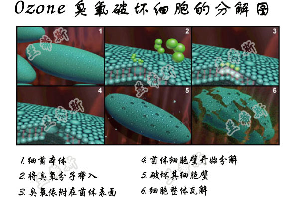 臭氧消毒原理