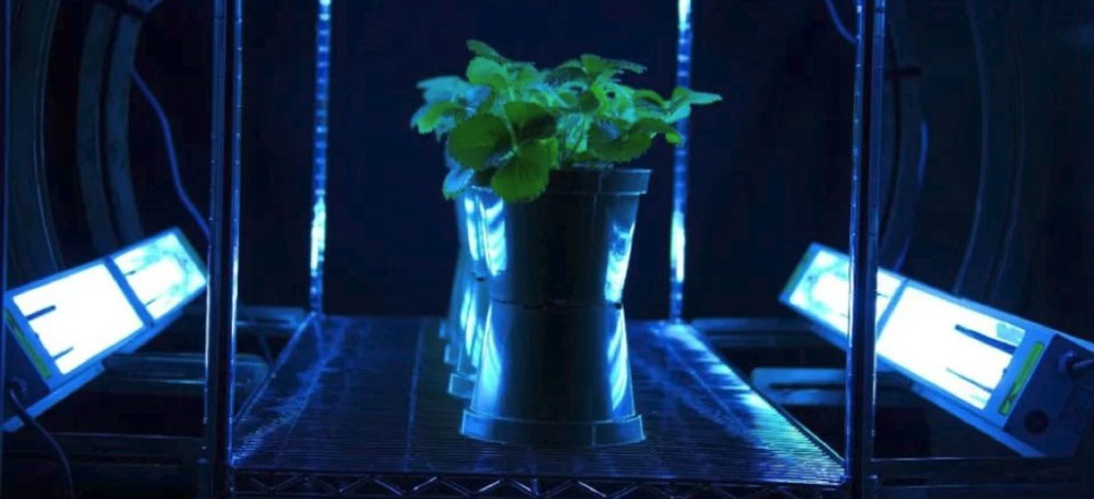 蘭蒂斯臭氧機 蘭蒂斯臭氧機