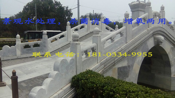 景觀水處理用臭氧發(fā)生器